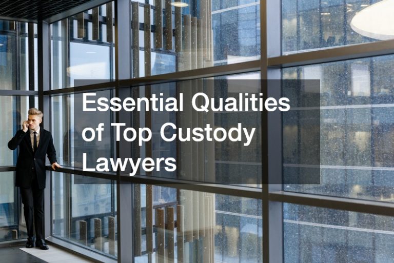 Essential Qualities of Top Custody Lawyers